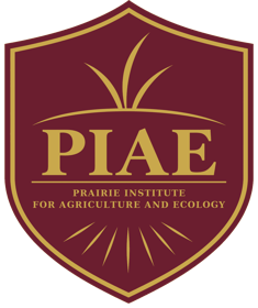 PIAE